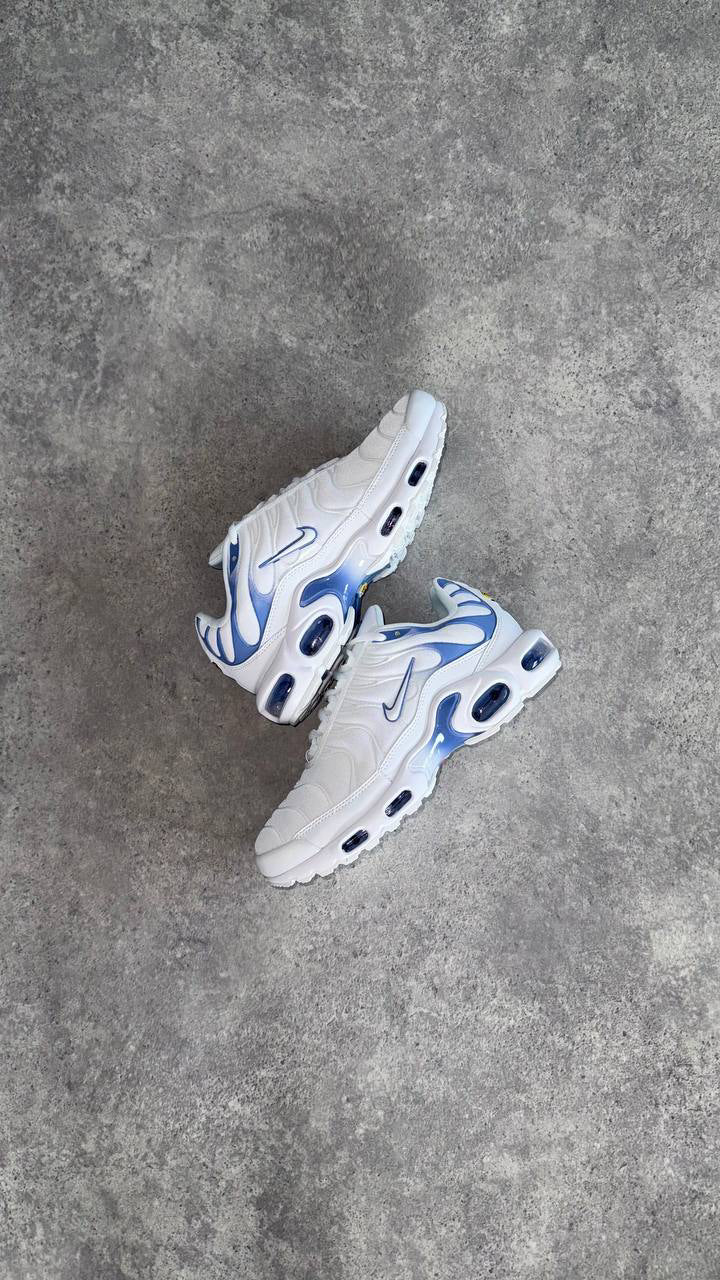 Air Max Plus TN ,, ASHEN SLATE"