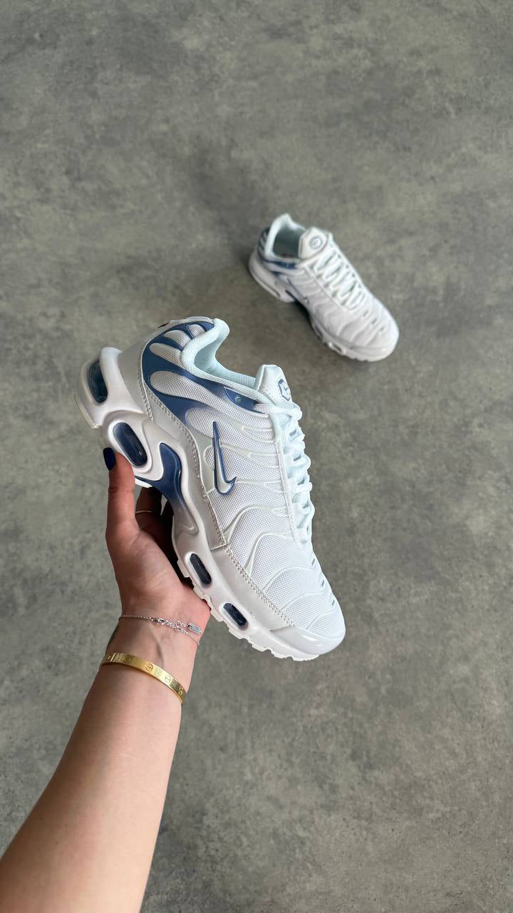 Air Max Plus TN ,, ASHEN SLATE"