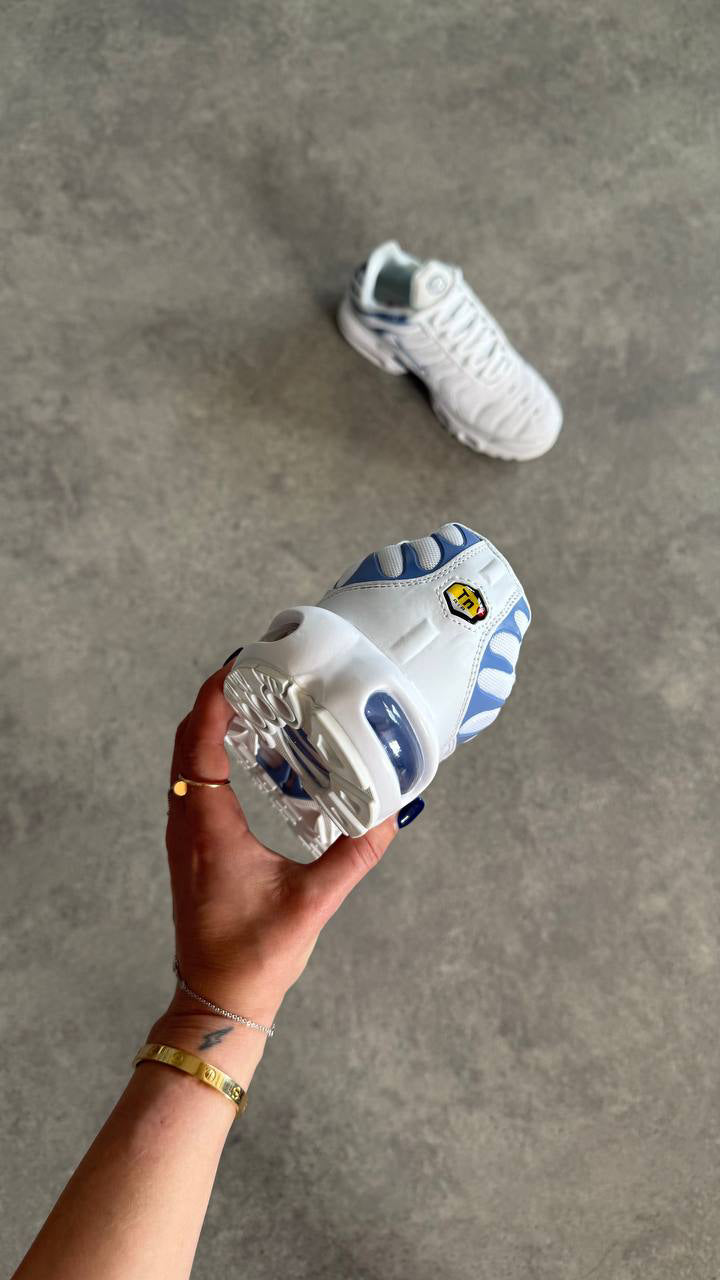 Air Max Plus TN ,, ASHEN SLATE"