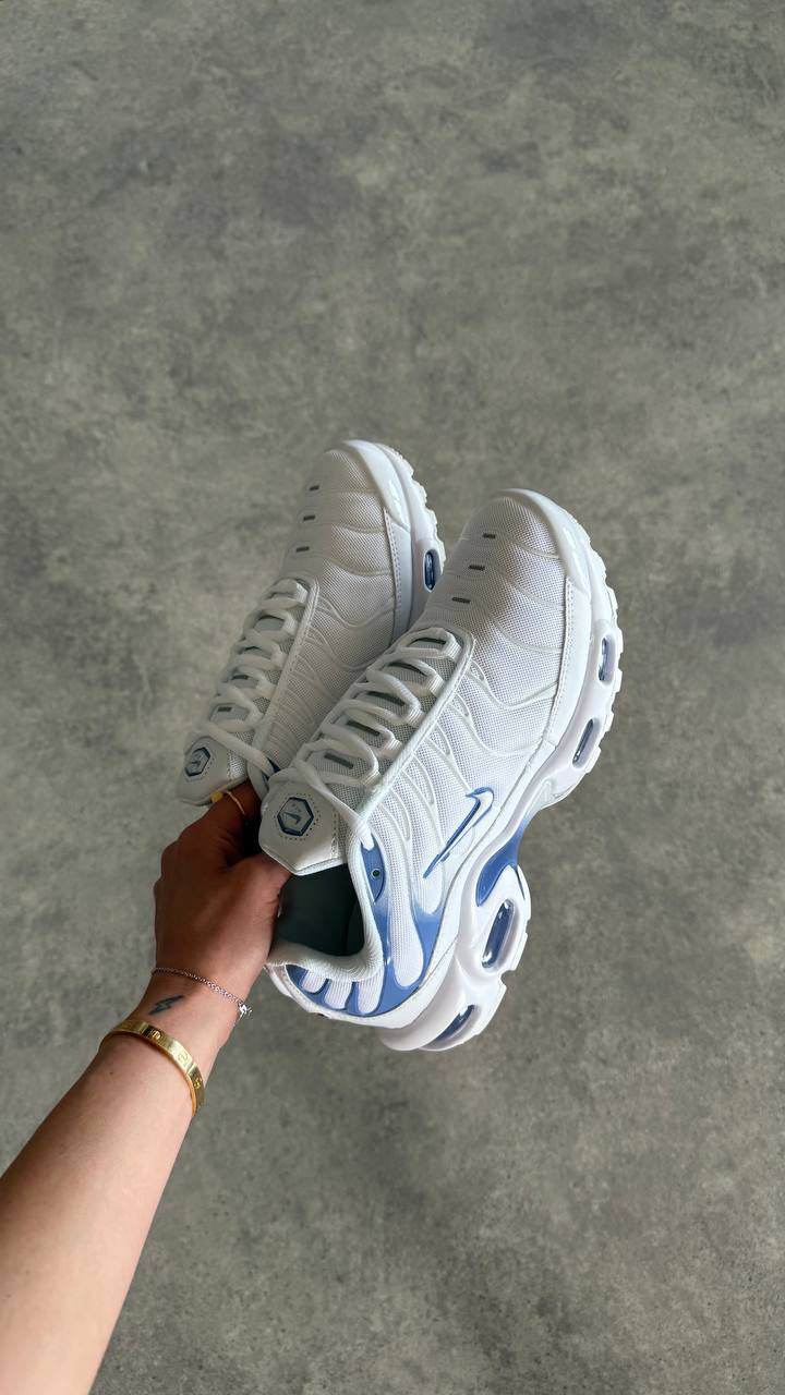 Air Max Plus TN ,, ASHEN SLATE"