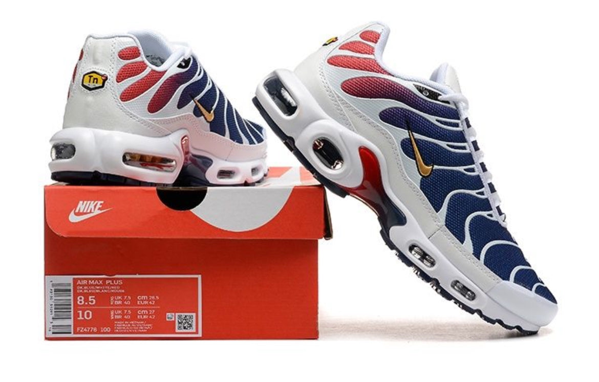 Nike Air Max Tn PSG