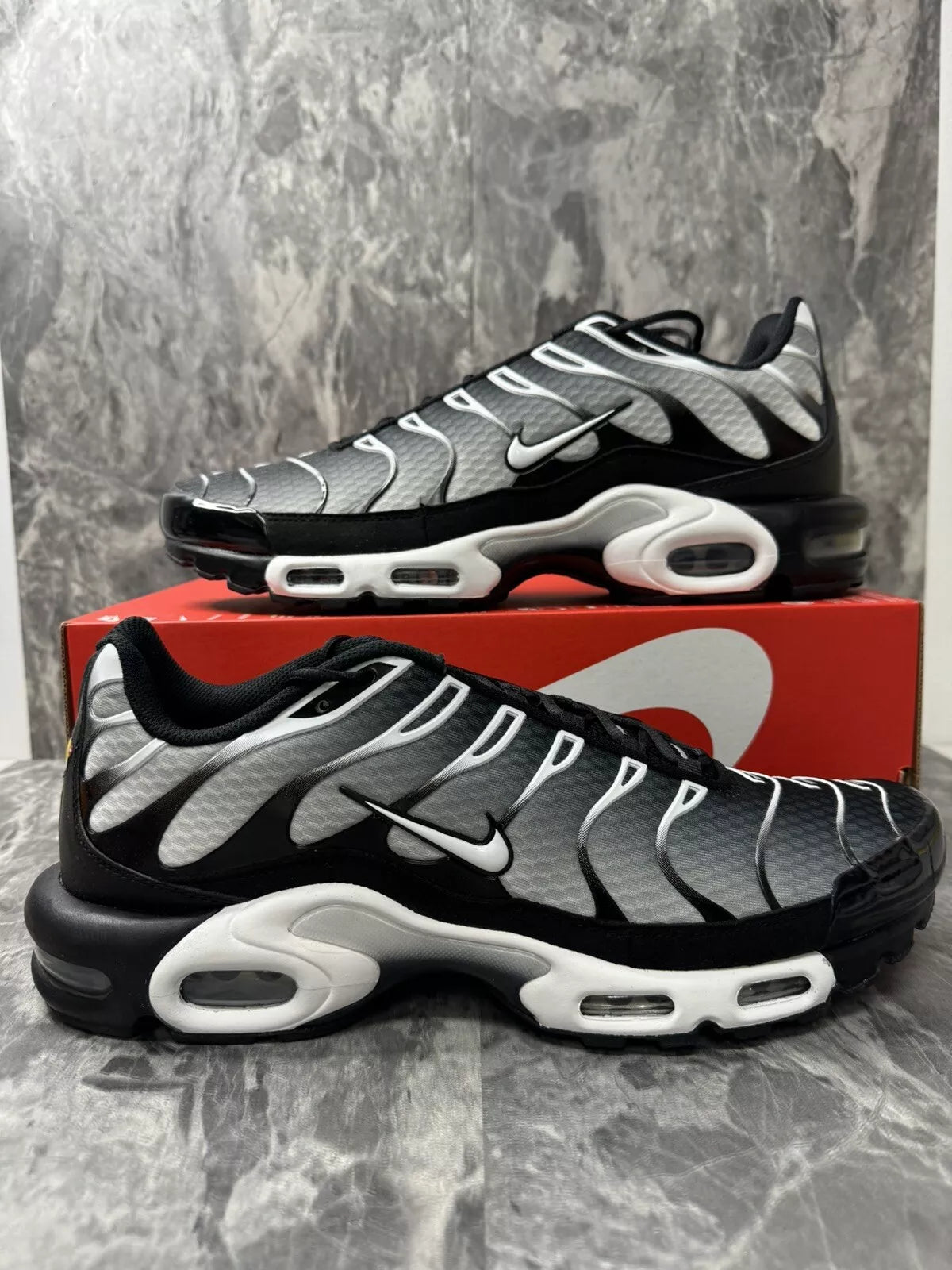 Nike Air Max Plus TN METALIC