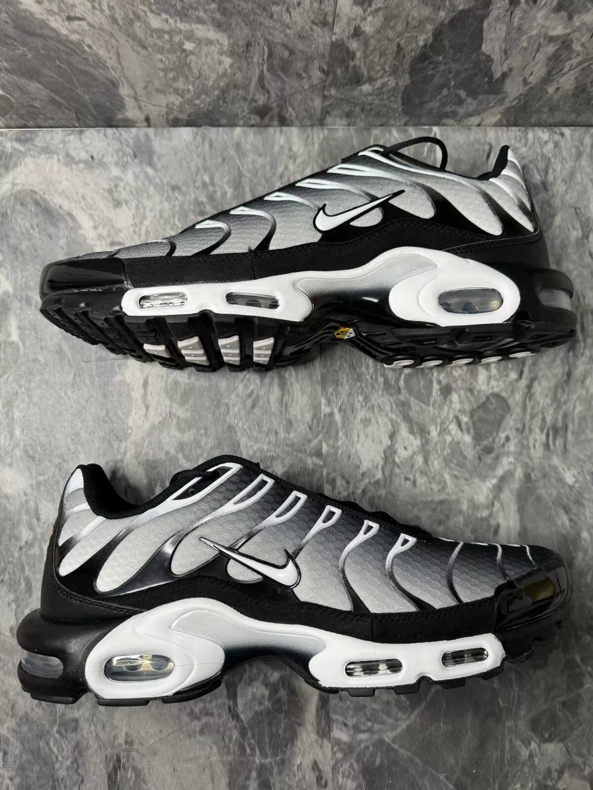 Nike Air Max Plus TN METALIC