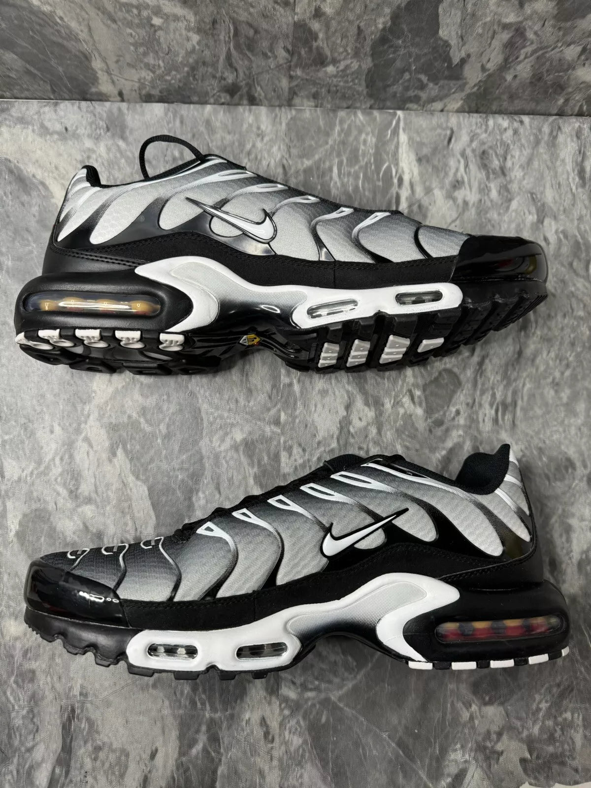 Nike Air Max Plus TN METALIC